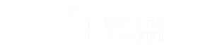Pollen Street Capital